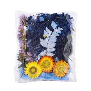Kit fleurs séchées DIY avec tournesols jaunes et statice mauve en sachet transparent