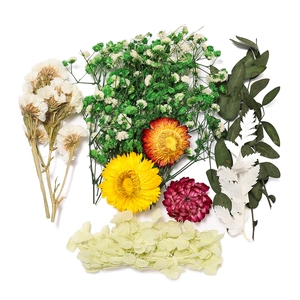 Détail du kit DIY de fleurs séchées avec immortelles et hortensias sur fond blanc