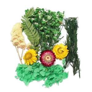 Vue à plat d'un kit de fleurs séchées DIY avec immortelles jaunes et violettes sur blanc