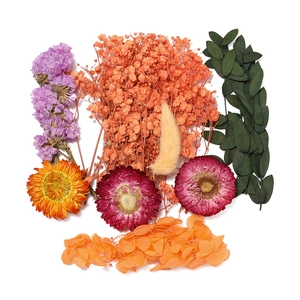 Vue détaillée du kit de fleurs séchées avec statice et gypsophile pour loisirs créatifs