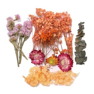 Vue détaillée de diverses fleurs séchées avec hortensias et statice pour loisirs créatifs