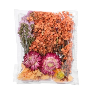 Ensemble de fleurs séchées avec gypsophile orange et marguerites roses sous sachet