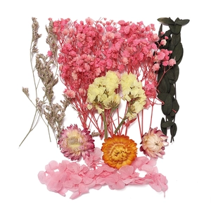 Détail de pétales d'hortensia rose, marguerites séchées et feuilles d'eucalyptus pour DIY