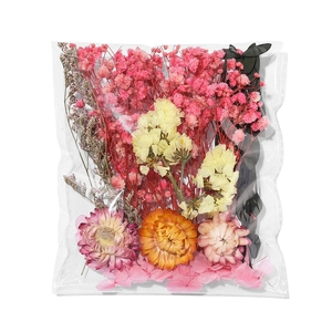 Mélange de fleurs séchées DIY avec gypsophile rose et marguerites en sachet transparent