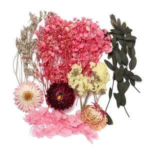 Gros plan de fleurs séchées colorées avec eucalyptus et marguerites pour loisirs créatifs