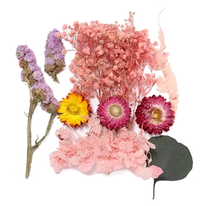 Vue détaillée de fleurs séchées colorées pour bricolage incluant hortensia et marguerite