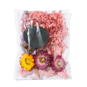 Détail de fleurs séchées avec gypsophile et marguerite dans un sachet transparent