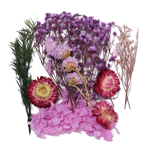 Assortiment de fleurs séchées violettes et roses pour le bricolage et les bougies