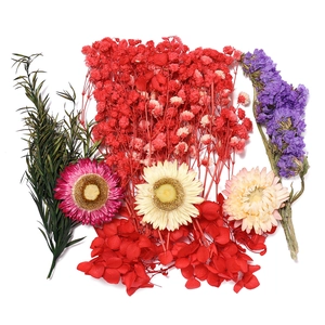 Fleurs séchées colorées pour bricolage résine et bougies sur fond blanc pur