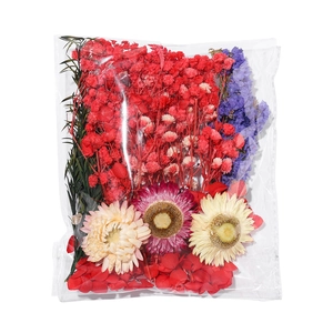 Ensemble détaillé de fleurs séchées sous emballage plastique pour loisirs créatifs
