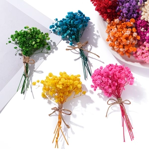 Macro shot of colorful dried gypsophila flower bouquets tied with natural jute twine