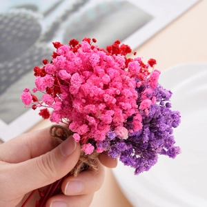 Mini colorful dried gypsophila bouquets tied with hemp rope for home decor and DIY crafts