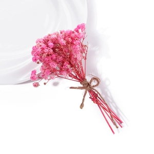 Pink gypsophila dried mini bouquet with burlap bow on a white background with plate