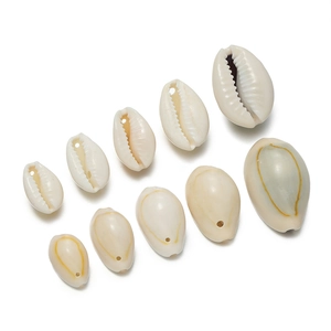 Macro detail of natural cowrie shell beads with pre-drilled holes for DIY jewelry making