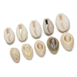 Macro view of natural cowrie shells with pre-drilled holes for DIY jewelry making crafts