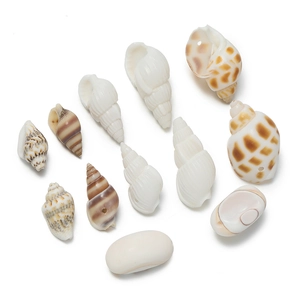 Detailed view of various natural seashells and conch pendants for DIY jewelry crafting