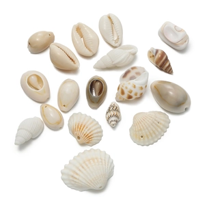 Detailed view of assorted natural seashells with pre-drilled holes for DIY jewelry