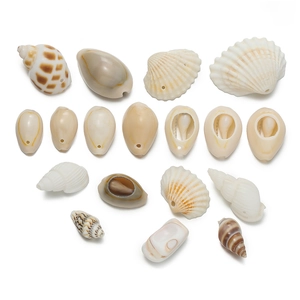 Detailed view of assorted natural seashells with pre-drilled holes for DIY jewelry making