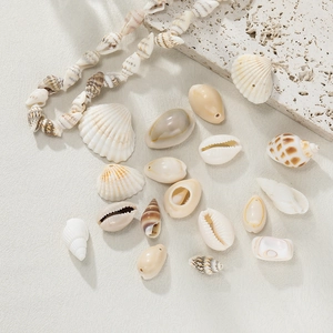 Macro shot of assorted natural sea shells with pre-drilled holes for DIY jewelry making