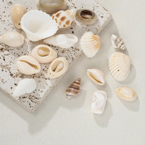 Macro shot of assorted natural sea shells and conchs with pre-drilled holes for DIY jewelry
