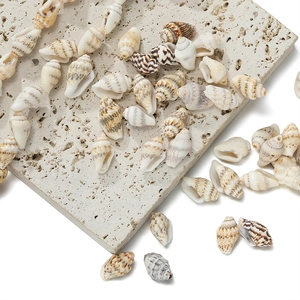 Mix of natural small seashells with drill holes for DIY jewelry and crafts making