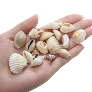 Mix of small natural seashells and conches for DIY jewelry making and ocean crafts