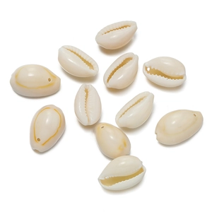 Close-up of natural cowrie shells with pre-drilled holes for DIY jewelry making