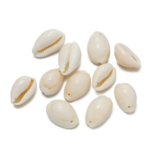 Macro detail of natural ivory cowrie shells with pre-drilled holes for DIY jewelry making