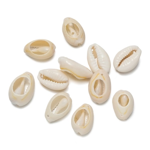 Macro shot of natural cowrie shells with pre-drilled holes for DIY jewelry making