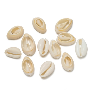 Macro shot of natural cowrie shells with polished ivory finish for DIY jewelry crafting