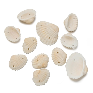 Macro detail of natural cream seashells with pre-drilled holes for DIY jewelry crafting