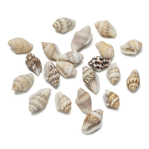 Macro shot of natural shell beads with brown spotted textures for DIY jewelry crafting