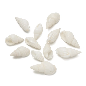 Macro view of white spiral natural seashells with pre-drilled holes for DIY jewelry