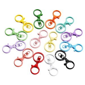 Set portachiavi colorati opachi con chiusura a moschettone e anelli girevoli per il fai da te