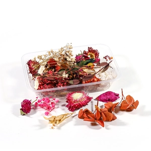 Mixed dried flower kit for DIY jewelry and candles in a clear storage box