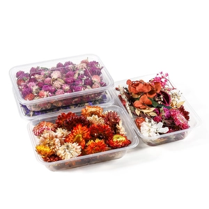 Assorted dried flower set with colorful Gomphrena and Strawflowers in a transparent box