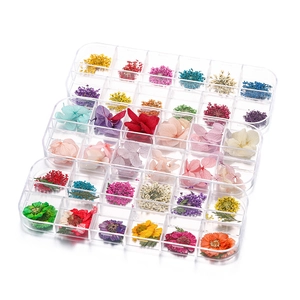 Assorted dried flower set in multi-grid boxes for DIY crystal resin filling crafts