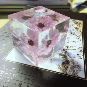 Macro shot of pink dried flowers preserved in a clear resin cube floral decoration