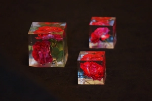 Three cube resin molds featuring preserved red roses with green leaves on dark background