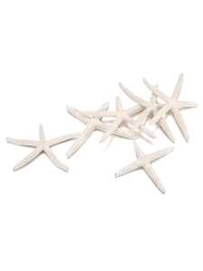 Set of six natural white starfish 7-10cm for home decor and aquarium landscaping