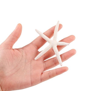 Natural white starfish ornament 7-10cm for fish tank and DIY home decor on hand
