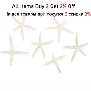 Close-up of six natural white starfish showing fine texture for DIY crafts and aquarium decor
