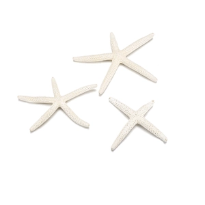 Detailed macro view of three natural white starfish for DIY aquarium decor and crafts