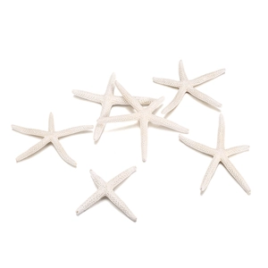 Detailed view of six natural white starfishes with organic textures for DIY decor