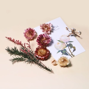 Kit fiori secchi fai-da-te con fiori di paglia e foglie per artigianato in resina