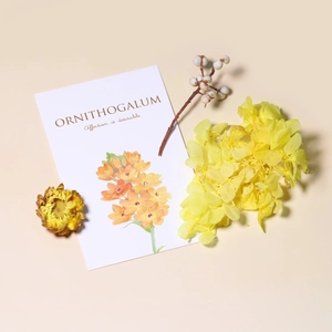 Dettaglio di fiori di ortensia gialli essiccati e carta per lavoretti fai-da-te