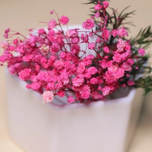 Fiori di gipsofila essiccati rosa in un vaso di ceramica bianca per decorazioni fai-da-te
