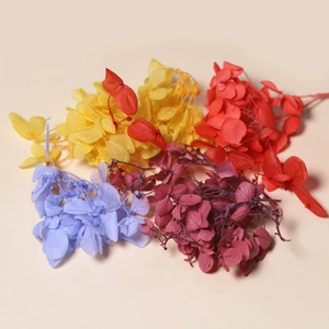 Primo piano di petali di ortensia essiccati in giallo, rosso e viola per il fai-da-te