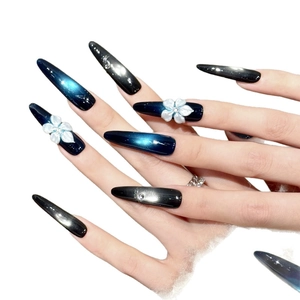 Unghie stiletto fatte a mano con sfumatura blu-nera, effetto cat-eye e fiori 3D applicati