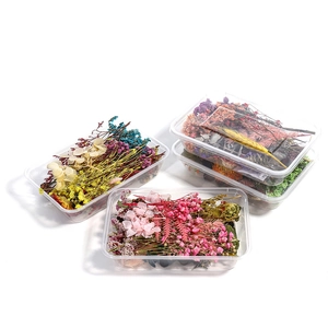 Set di fiori essiccati assortiti per artigianato fai-da-te in scatole trasparenti